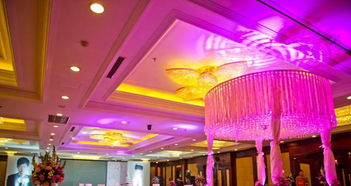 唯諾婚禮 一站式專業(yè)婚慶服務(wù)，打造您夢(mèng)想中的完美慶典